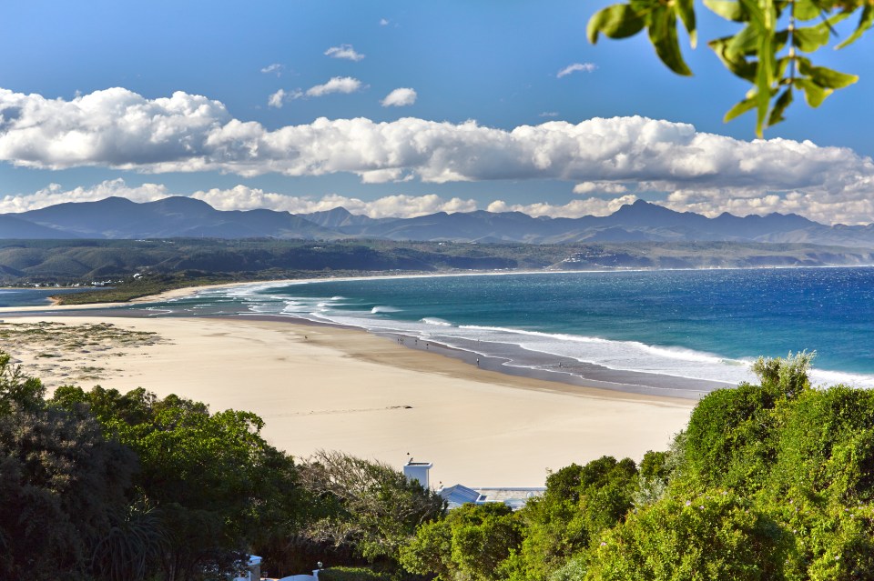 A woman has died following a shark attack at Plettenberg Bay in South Africa