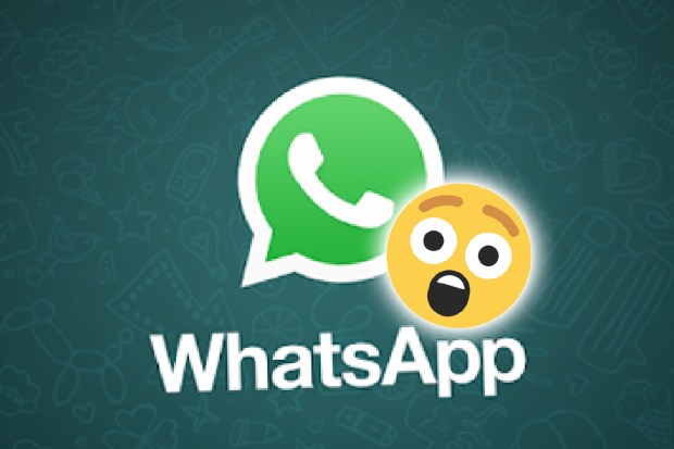 WhatsApp logo with surprised emoji.