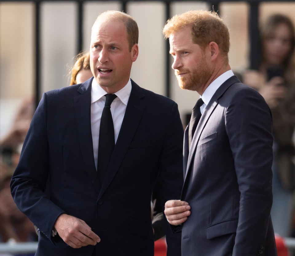 Royal experts said it was a 'sensational surprise' but 'positive'