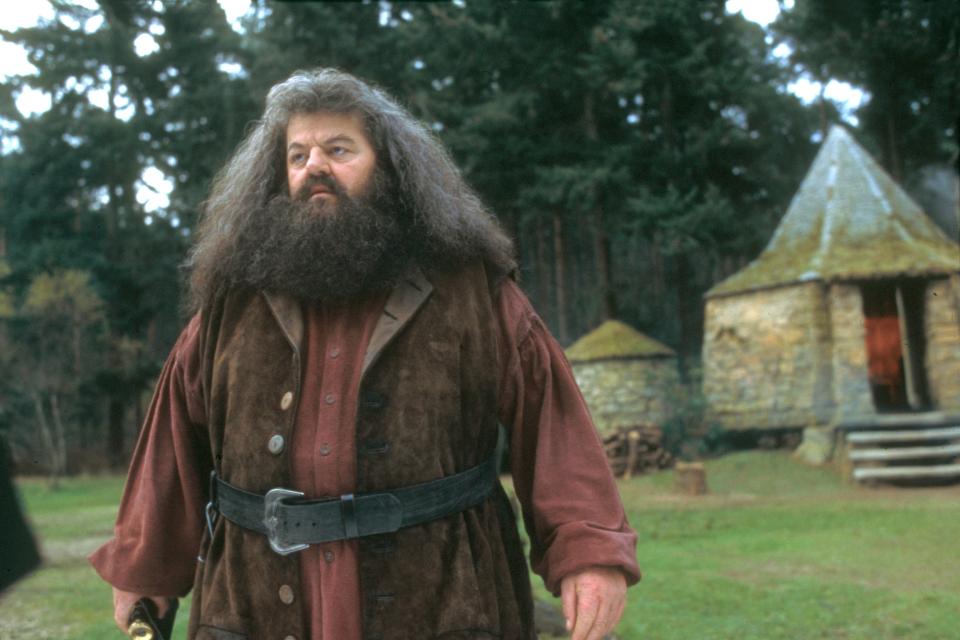 Coltrane was best known for playing Hagrid in the Harry Potter series