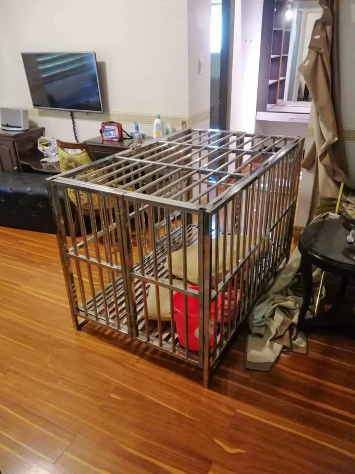 Police found the cage where the hostage was held for 20 days