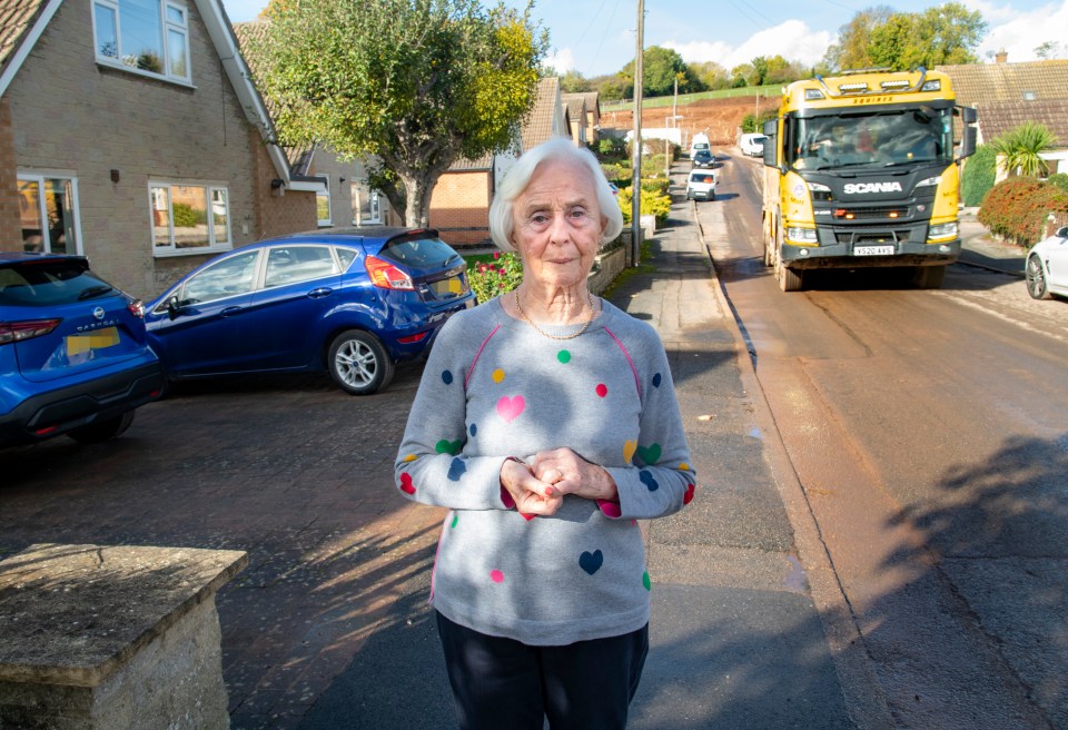 Former social services worker Margaret and husband Michael said the 'predictable' flooding was "like a waterfall" in their garden and drive