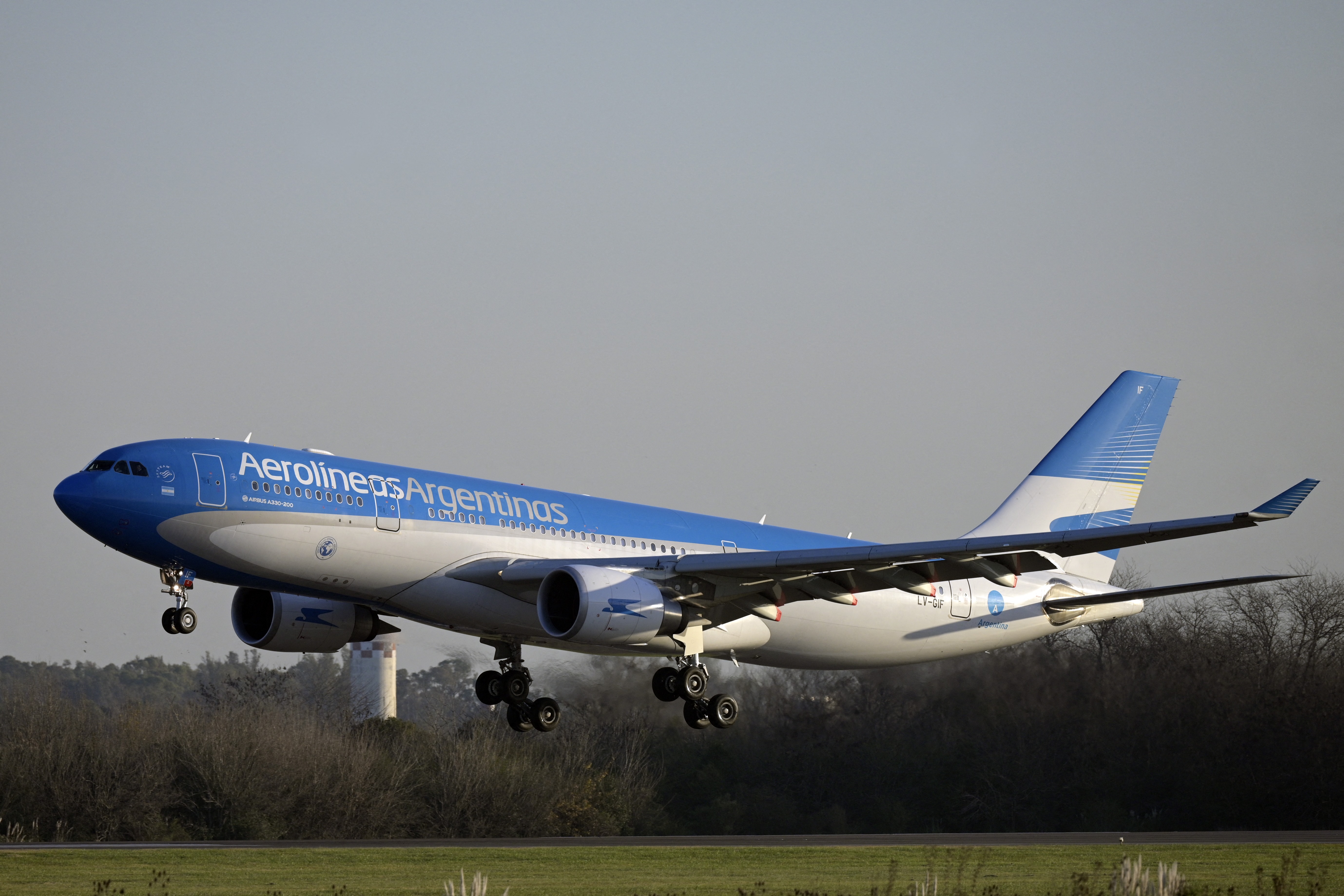 The Aerolineas Argentinas jet was violently shaken as passengers slept at 38,000ft