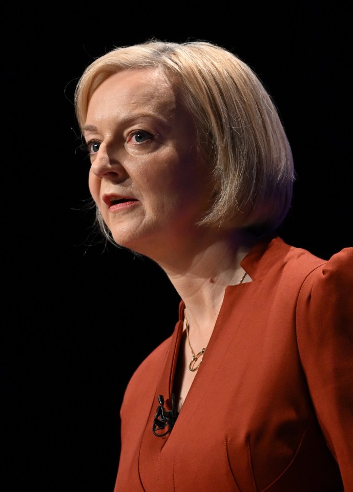 Brexit voters who backed the Tories in 2019 wanted control over it, but Liz Truss is silent on the matter