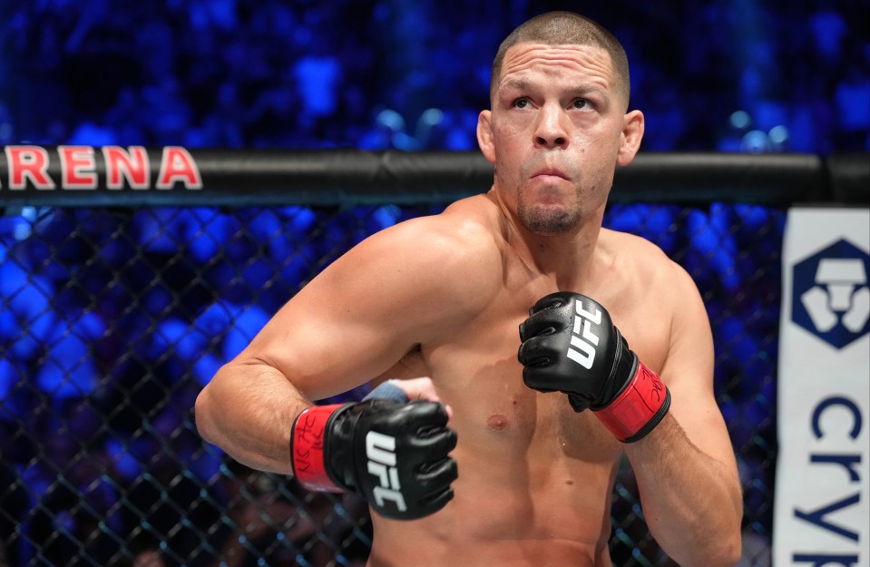 Nate Diaz is a potential Jake Paul opponent