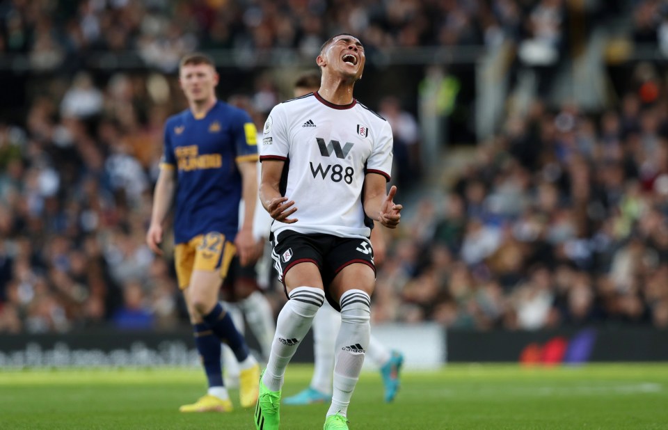 Fulham endured a frustrating afternoon