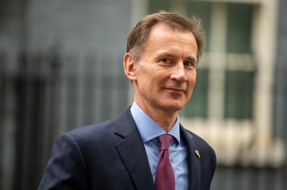 Jeremy Hunt is trying to find £50billion of spending cuts and tax hikes