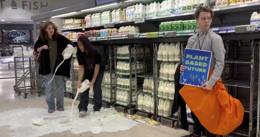 Animal Rebellion pour milk in protest at a branch of Waitrose in Edinburgh