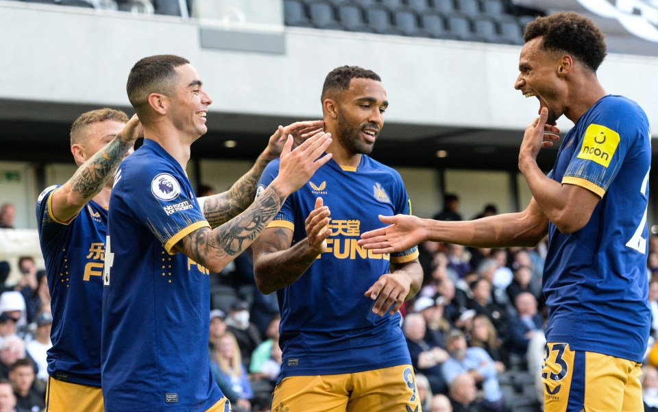 Newcastle players celebrated an emphatic return to the Premier League