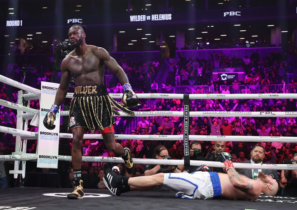 Deontay Wilder knocked out Robert Helenius in the first round