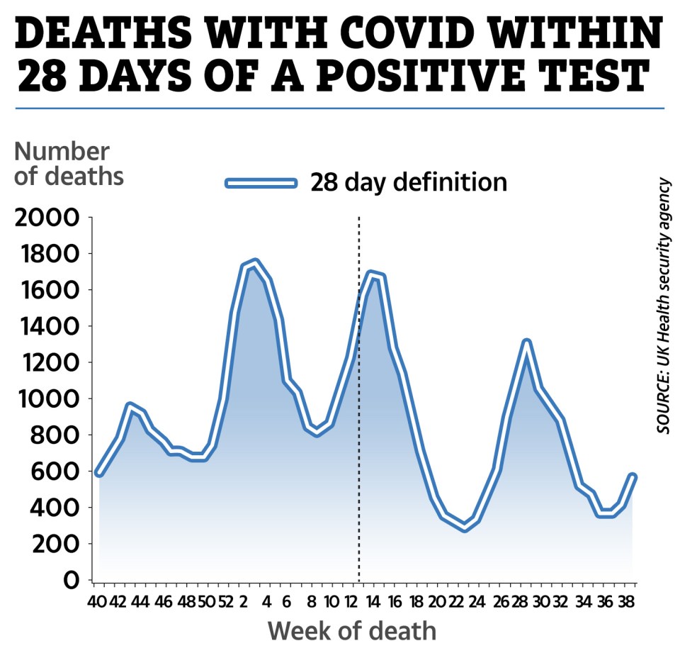 The chart above shows how deaths with Covid have increased in the last week. A small increase can been seen on the chart, with over 500 deaths being recorded in week 40