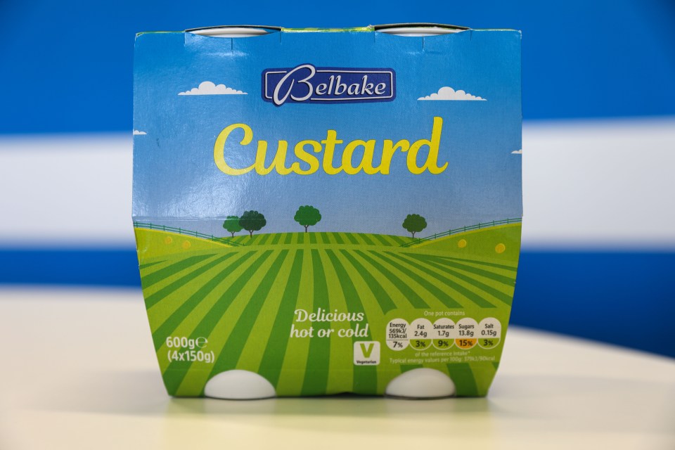 Lidl's custard is the best by far - clearly the best kind of custard comes out of a plastic pot