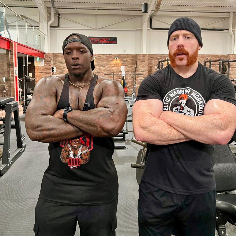 Adebayao Akinfenwa trained with WWE superstar Sheamus last month