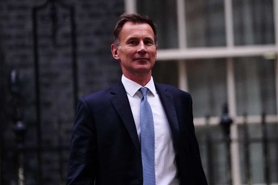 Jeremy Hunt may be a Remainer, but at least he’s sane and competent