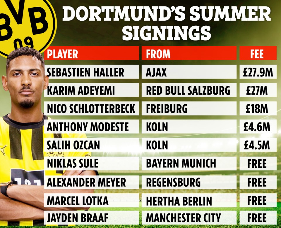 Borussia Dortmund made nine signings this summer for £82m