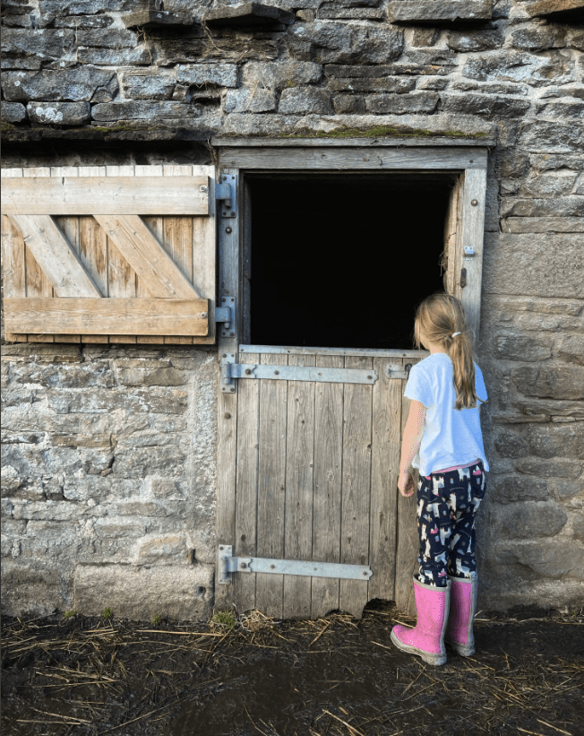 Daughter Clemmie kept a watchful eye over the mum and calf