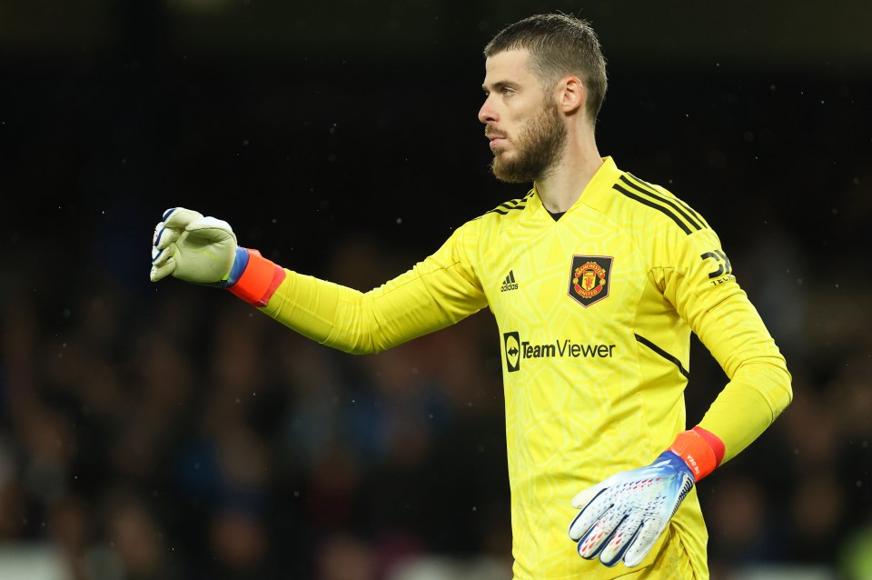 David de Gea helped Man Utd beat Everton on Sunday