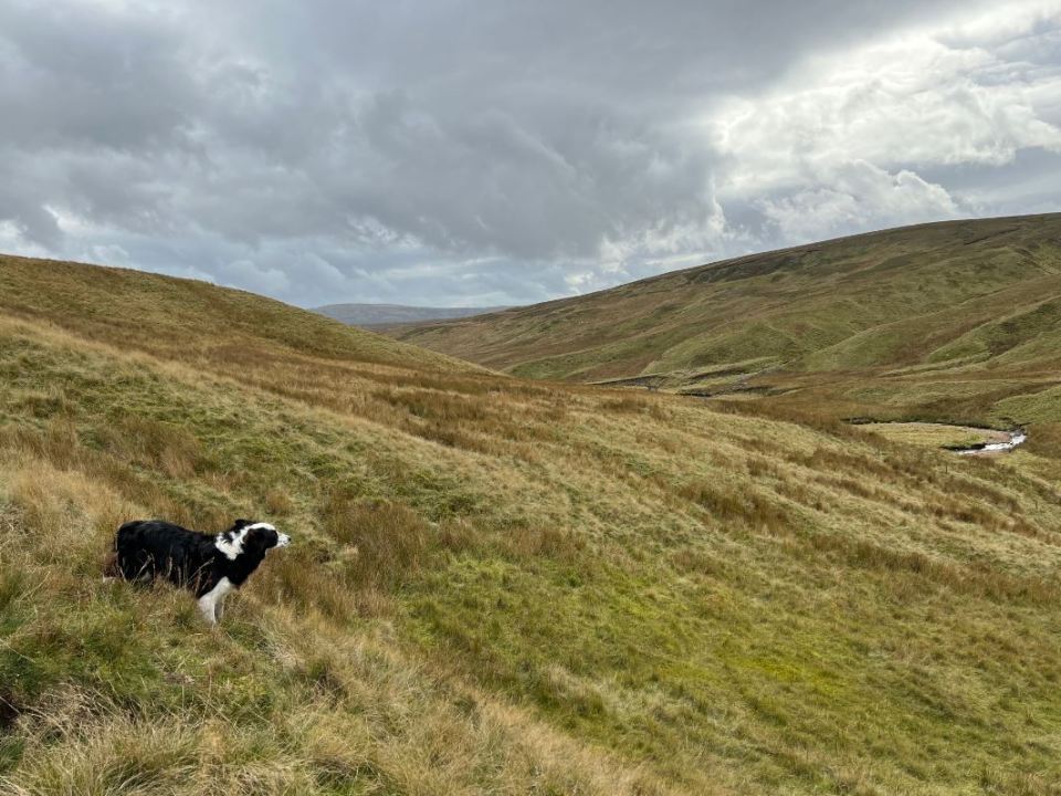 She shared a photo of hers and Kate's walk