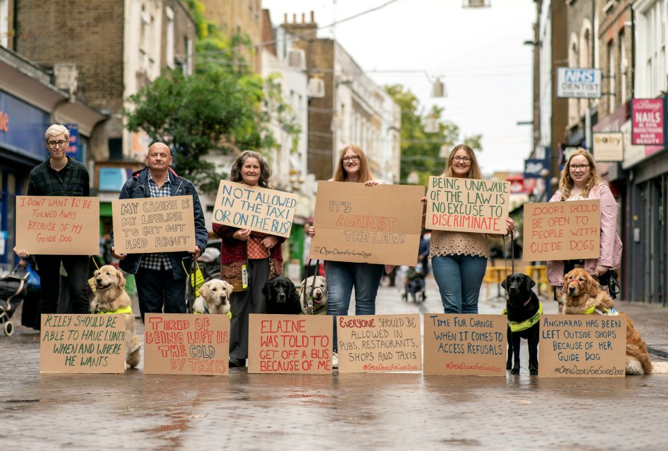 Guide dog owners with their dogs; Riley and Yashka, Brian and Giles, Elaine and Inca, sisters Jessica and Melissa Driver and Watson and Kenzie and Angharad and Tudor