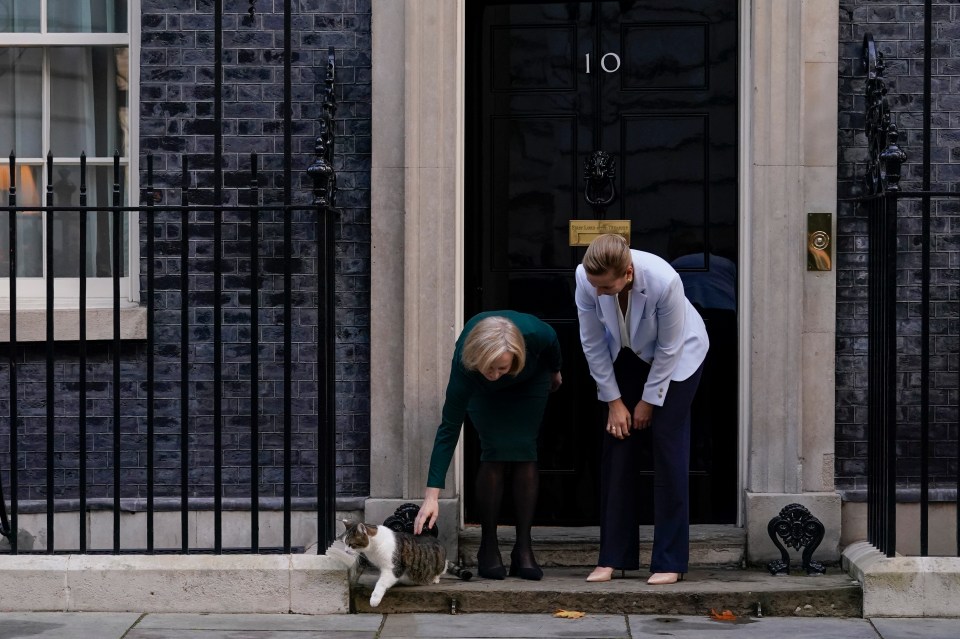 But Truss was snubbed by Larry the Downing Street cat