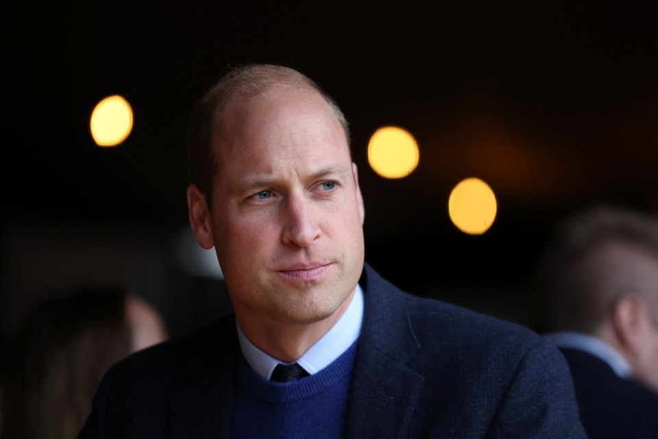 The new series is likely to upset Prince William, after he said the controversial Panorama interview should never be aired again