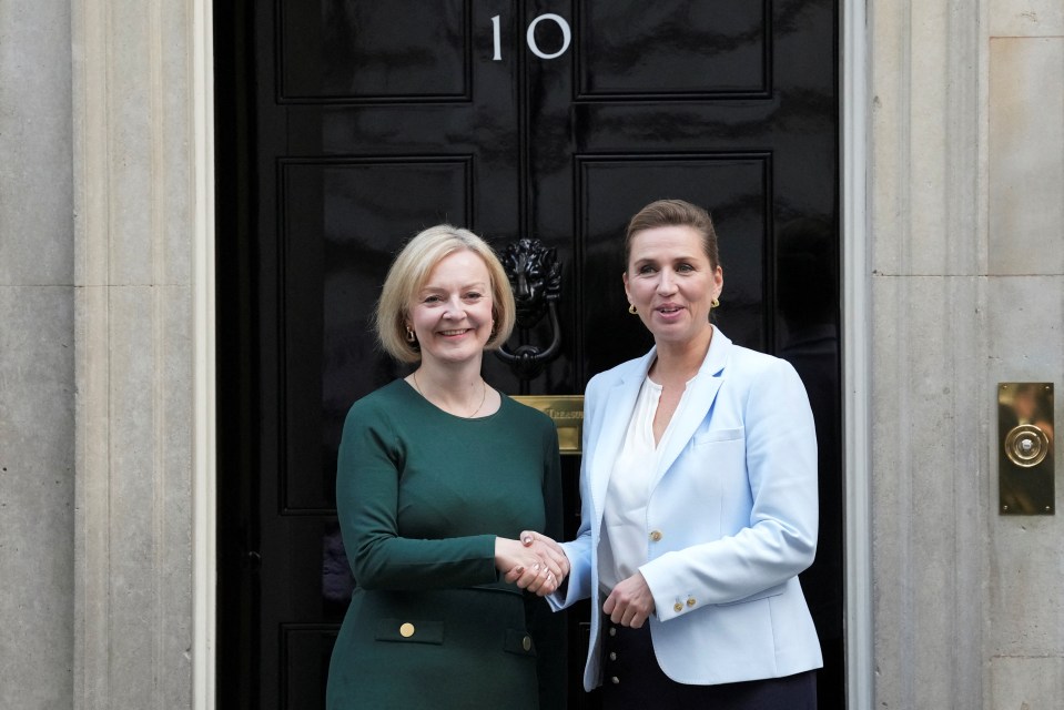 Ms Truss met Danish PM Mette Frederiksen at No10 for talks about Ukraine