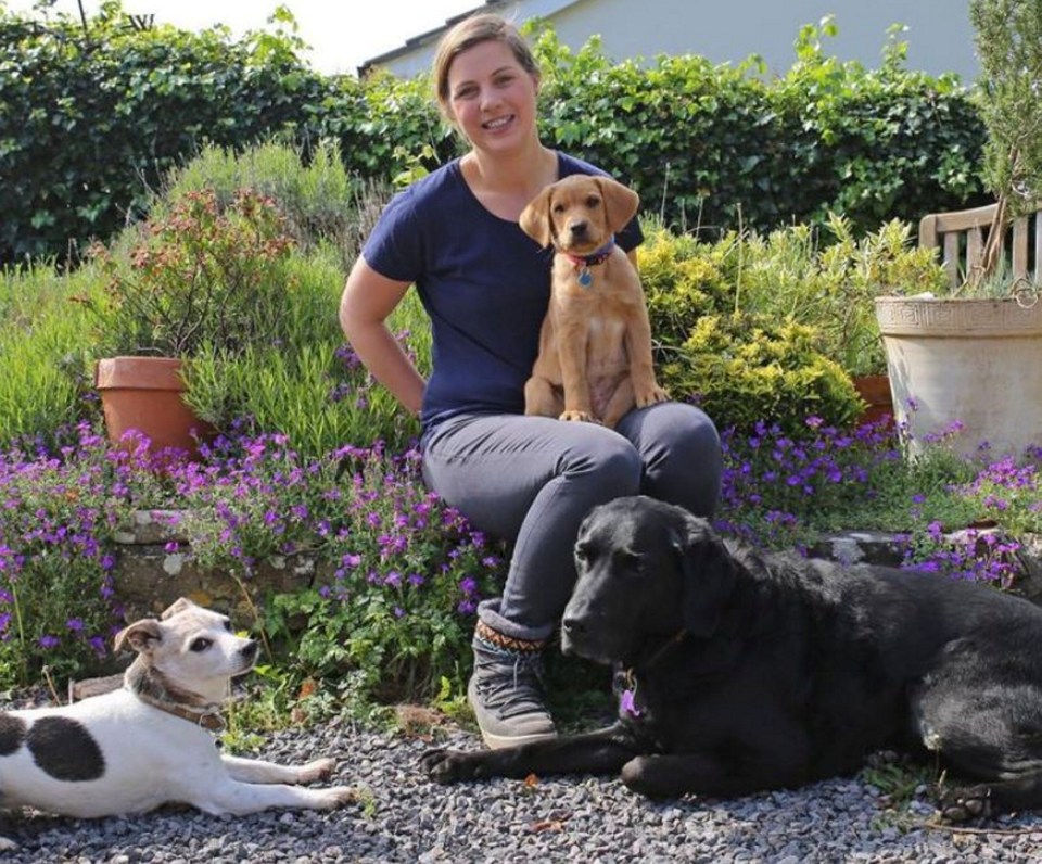 Clinical animal behaviourist Rosie Bescoby has revealed how you can help prepare your dogs ahead of fireworks night