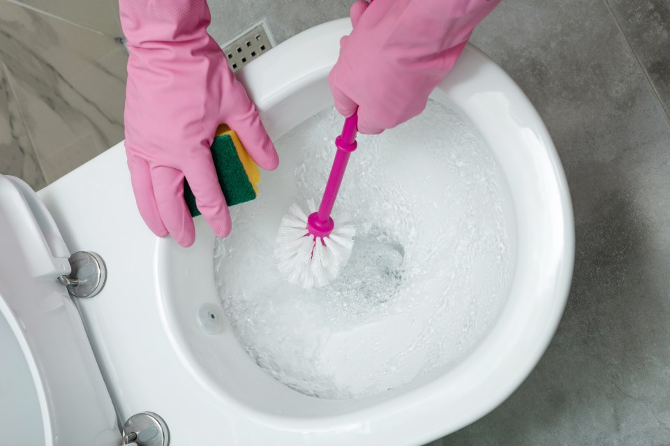 If you are fed up trying to remove limescale from your loo, here’s a hack for you