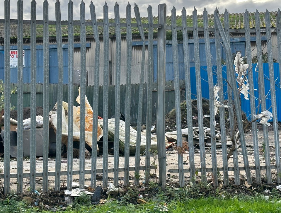 A resident said Pill is 'smelly and dirty' and claims to have seen rats crawling through rubbish