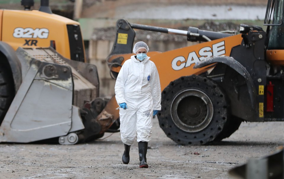 Workers at the recycling centre discovered the remains shortly before 10am