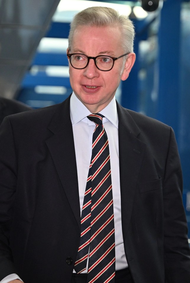 Michael Gove warned the country to expect 'a hell of a lot of pain in the next two months'