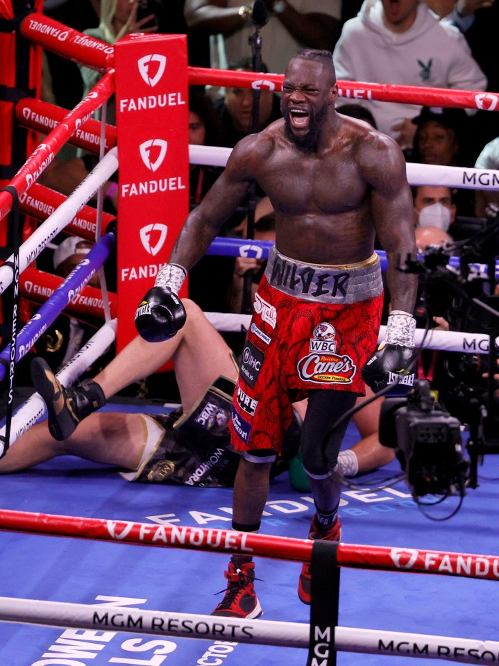 Wilder weighed in at 238lbs for his final fight with Fury