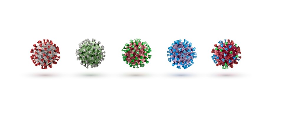 A variety of coronavirus variants have circulated in the last two years, and experts say the winter months could see some reigning together