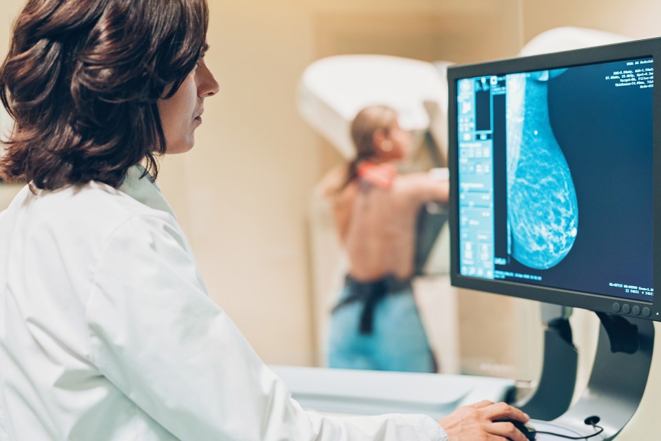 Breast cancer is the most common form of the disease in the UK (stock image)