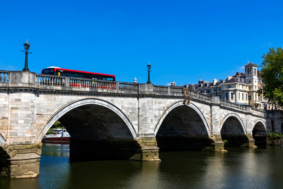 The young man accidentally fell to his death into the River Thames while on a night out