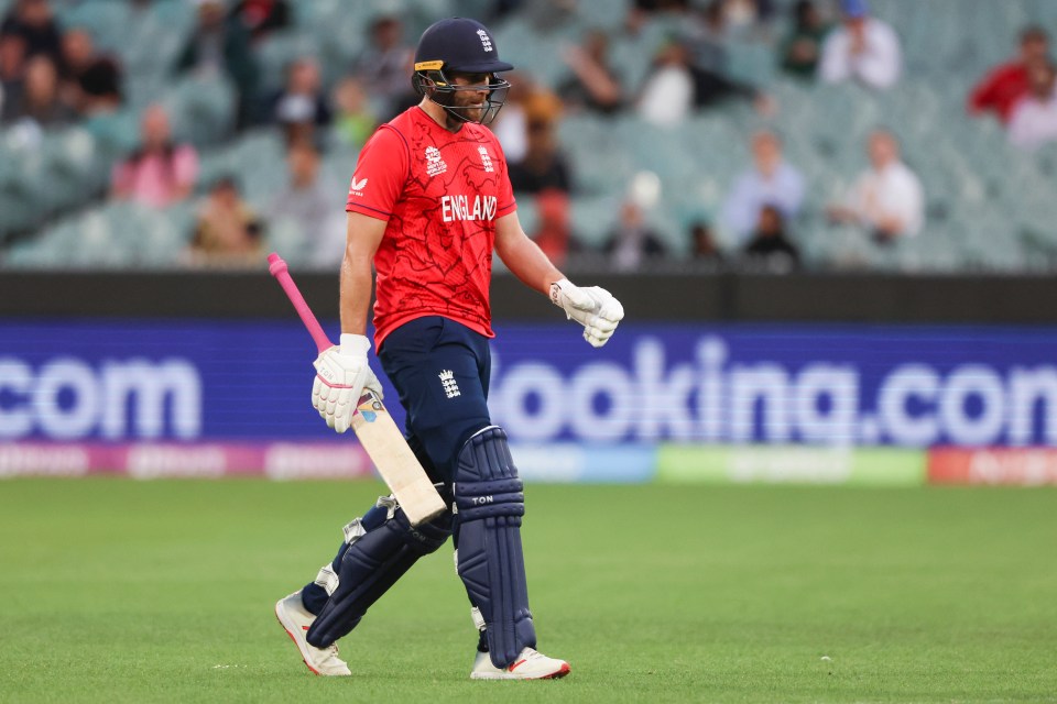 Dawid Malan cut a frustrated figure as he was dismissed