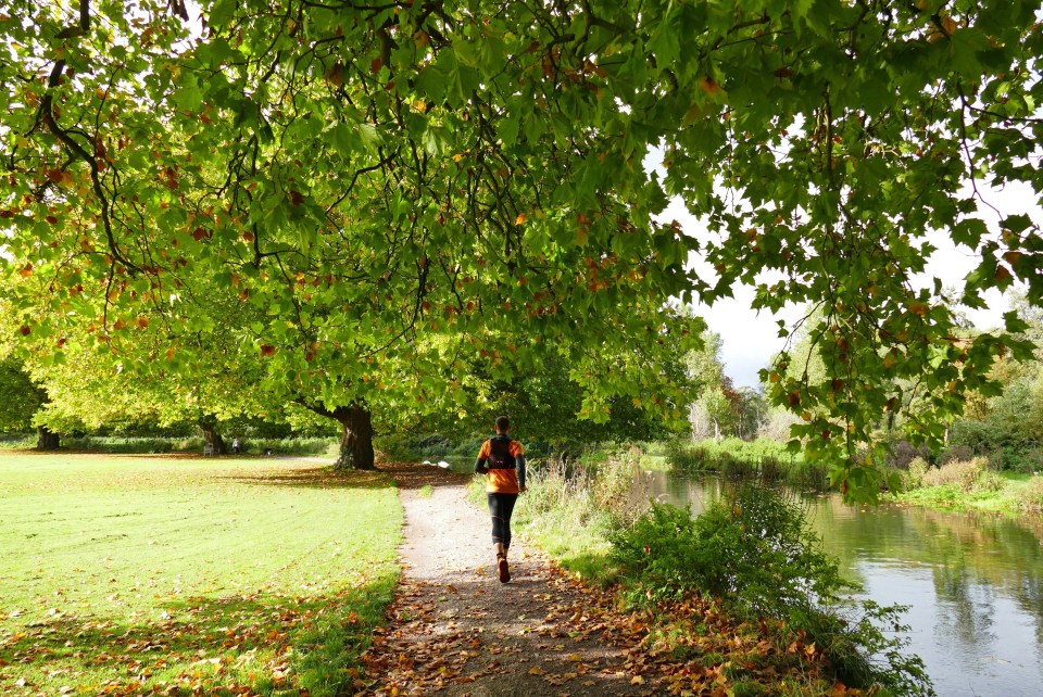 The Pilgrims Way on a sunny afternoon in Hampshire on October 15