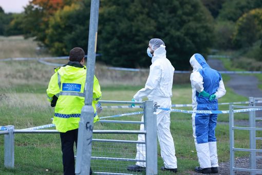 A forensics team have arrived and have begun their investigations at Whitehills Nature Park.