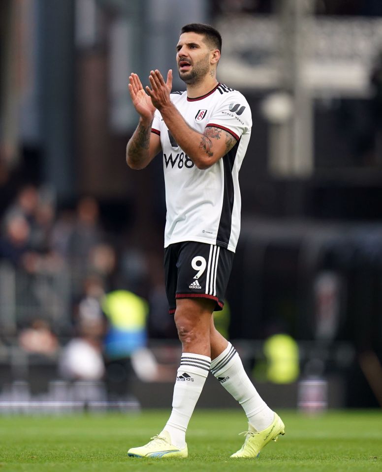 Aleksandar Mitrovic has been on fine form for Fulham