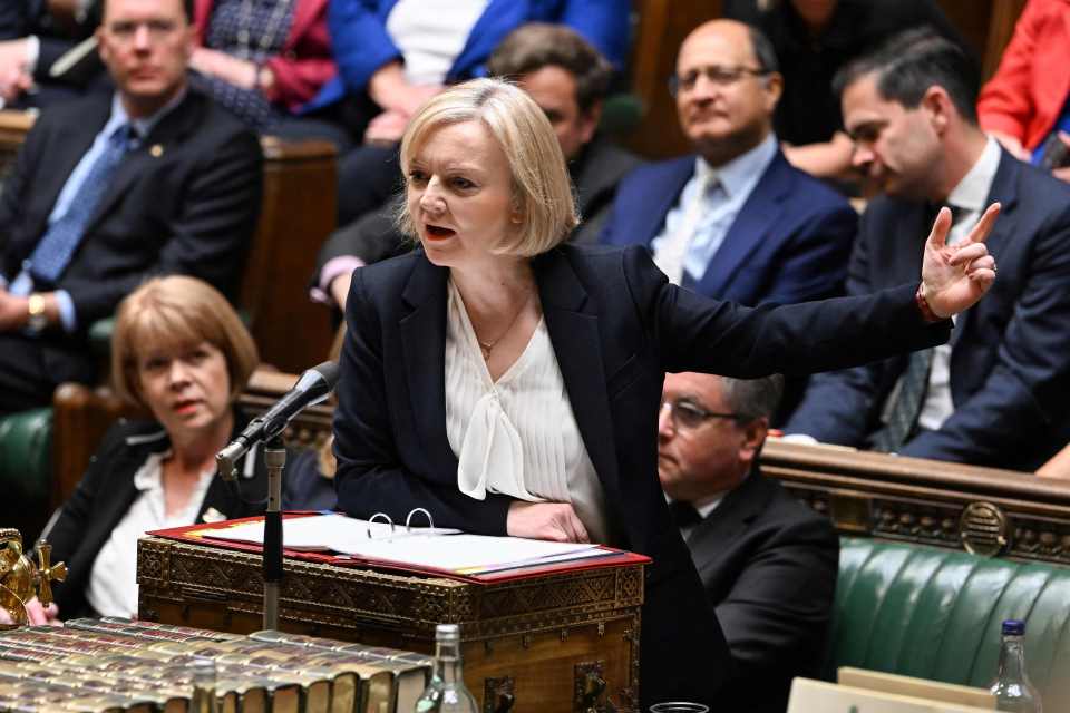 At PMQs just hours before the Commons descended into chaos, Liz Truss told MPs she's a "fighter not a quitter"