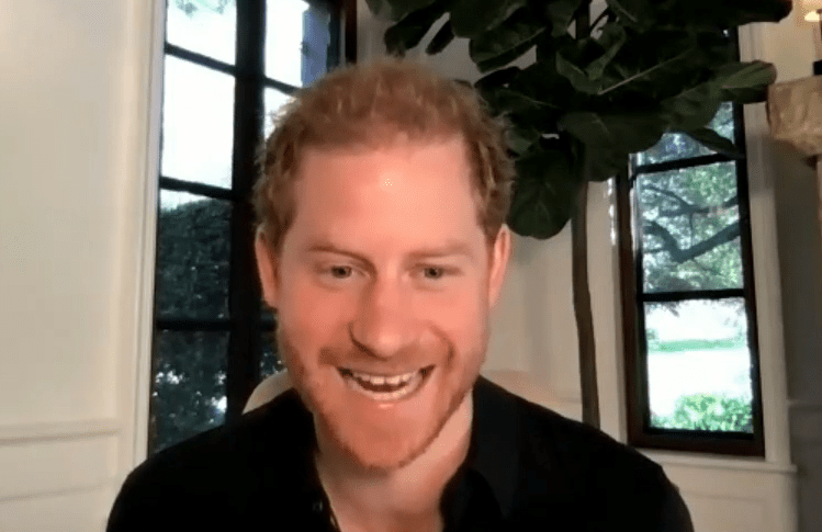 Prince Harry appeared delighted to meet Henry - and told him he had a similar voice to Archie