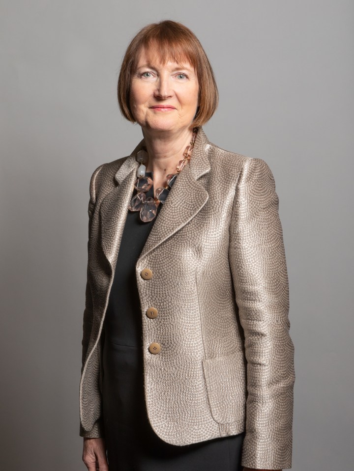 The Partygate probe will be led by Labour grandee Harriet Harman