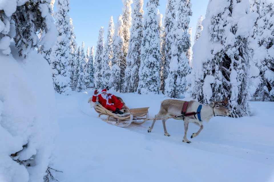 Holidays to Lapland are incredibly popular, so to bag one of these bargains for next year, you'll have to be quick