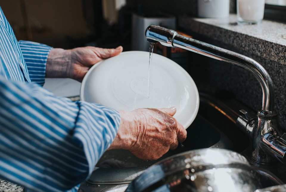 Washing your dishes properly can save time and money