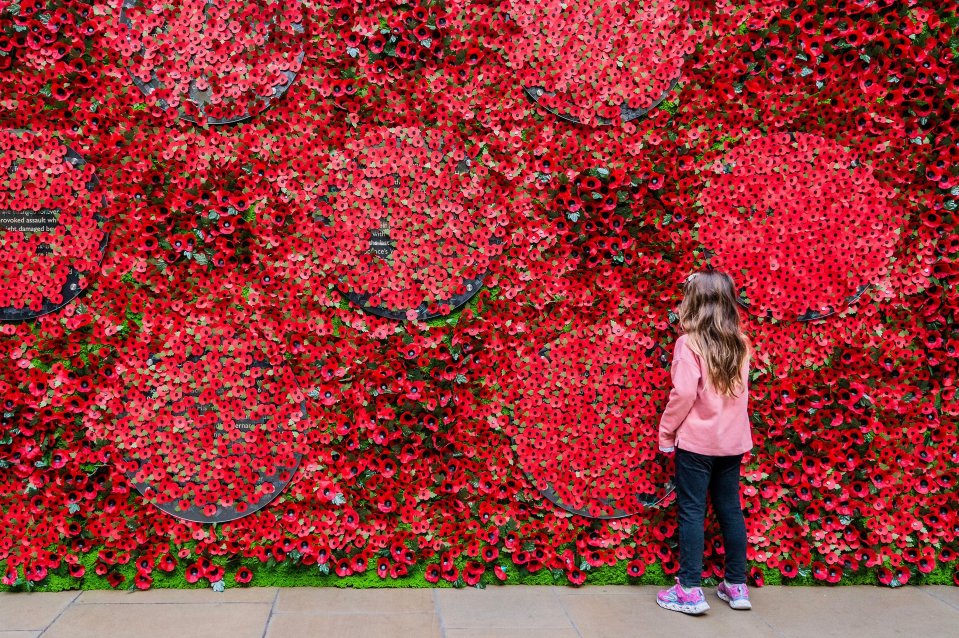 The Royal British Legion's Poppy Appeal 2022 launched with a 6-metre-wide wall of poppies featuring stories of veterans