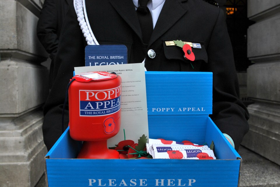 Strikes had forced the Royal British Legion to cancel their annual London Poppy Day event