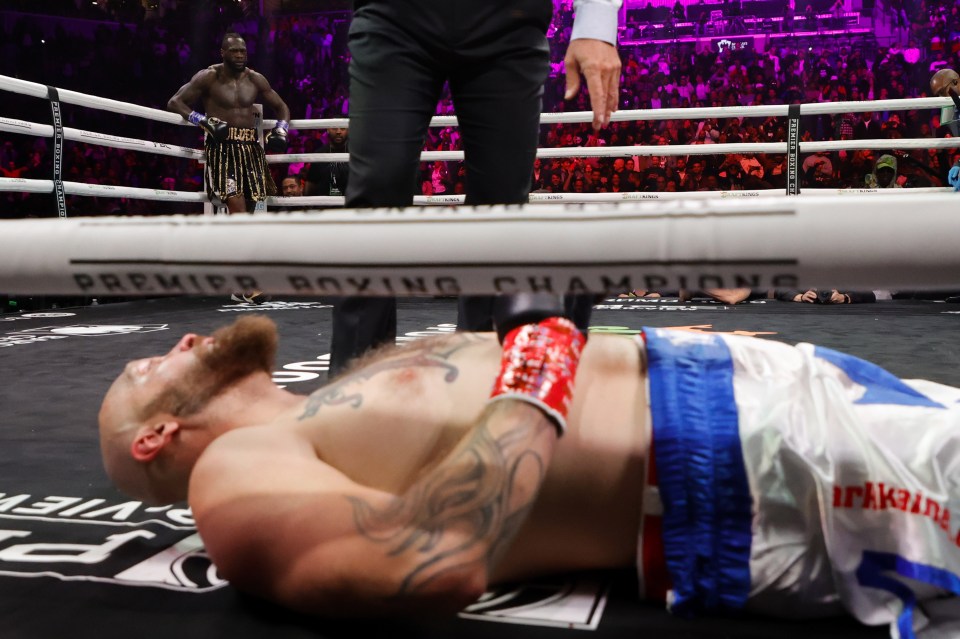 Robert Helenius was knocked out in round one