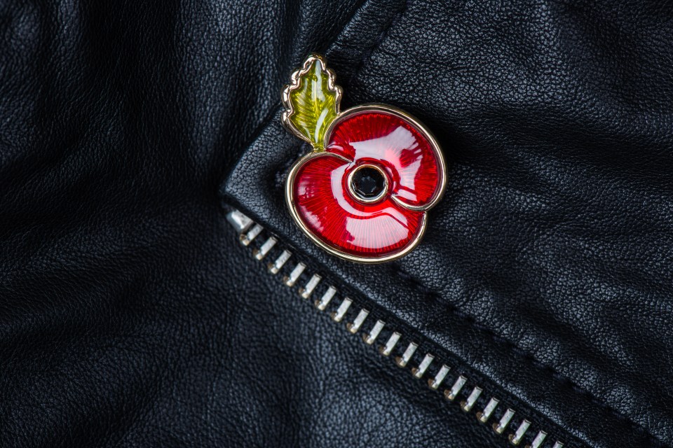 Wearing a poppy is a symbol of Remembrance Day