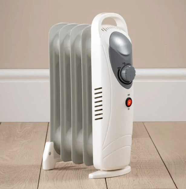 Dunelm’s ‘650W 5 Fin Oil Filled Radiator’ (pictured) is ideal for transporting around the home