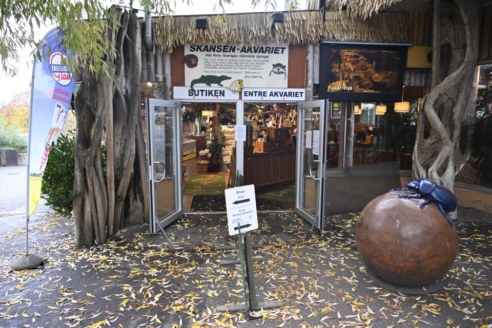 Staff at Skansen zoo in Stockholm are searching for the creature